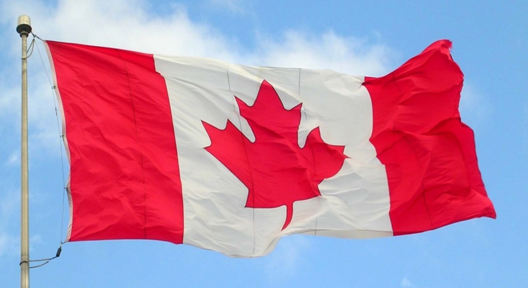 Employment for Undergraduate Students with Scholarships in Canada
